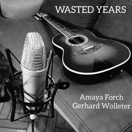 Carátula Wasted Years (Cover)